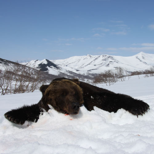 Hunting in the Upper Altai