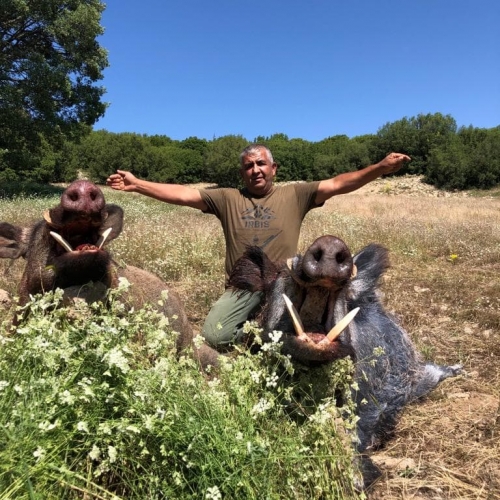 July hunt in Turkey